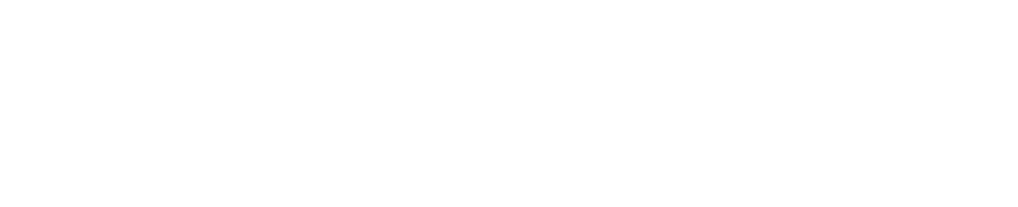 Logotype β white